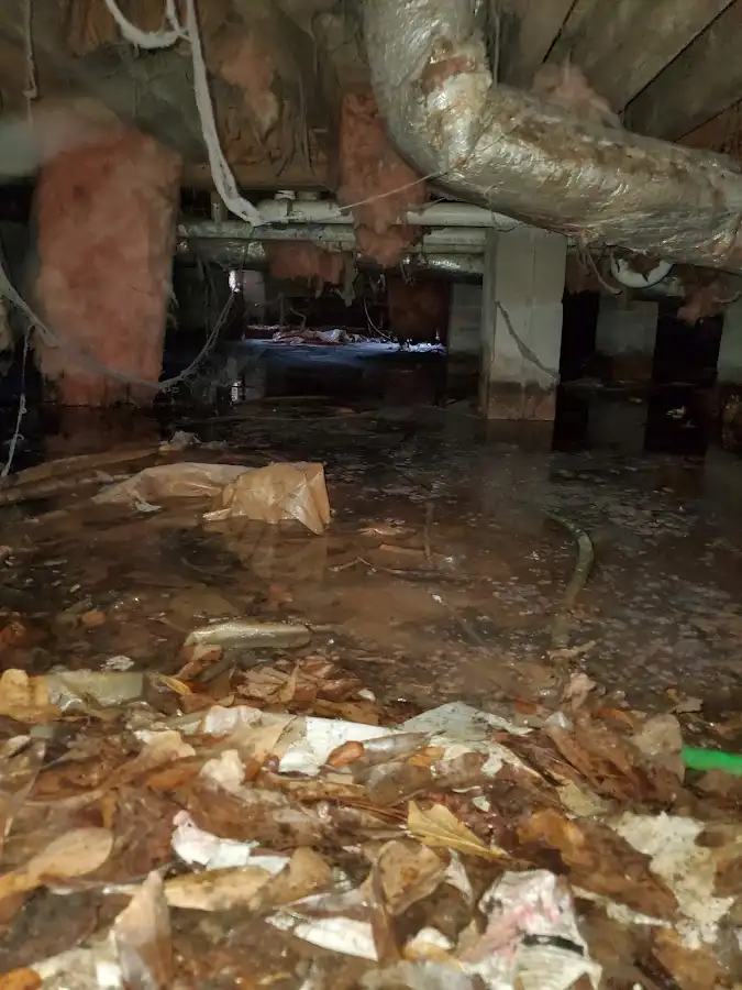 Crawl space flood assessment for Leak Detection & Repair in Fulton