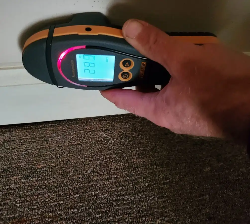 Moisture detection at baseboard during Sewage Cleanup & Sanitation in Fulton